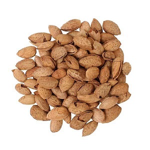 فروش و قیمت ویژه بادام منقا خام